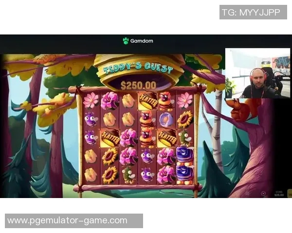 pg电子游戏辅助-探索PG电子游戏辅助，提升游戏体验的关键要素-pg电子游戏辅助